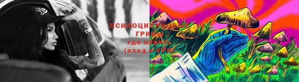 mdpv Зеленодольск