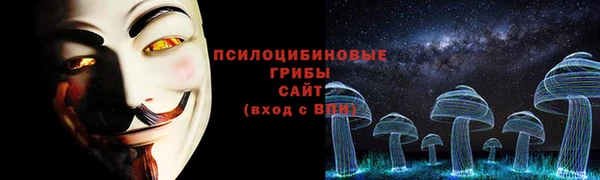 СК Зеленокумск