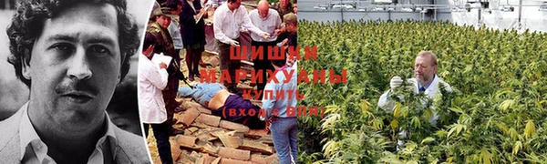 метадон Иннополис