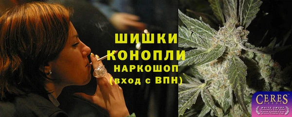 СК Зеленокумск