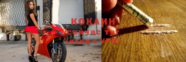 СК Зеленокумск