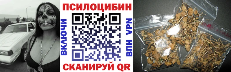 Галлюциногенные грибы прущие грибы  Купить где  Апатиты 